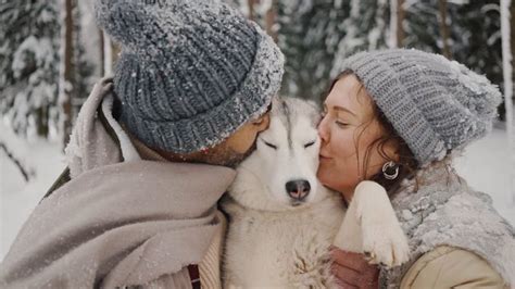 videos de animales con mujeres|Los mejores 100.000+ vídeos de Mujer Con Animal